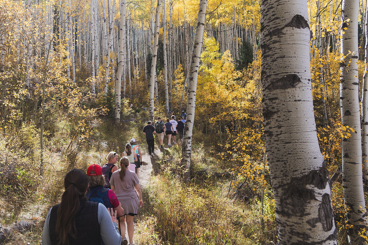 VH Hike, Wine And Dine