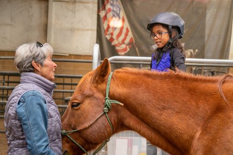 Equine-Assisted Therapy for Mental Wellness