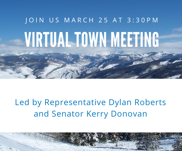 Watch: Virtual Town Hall Meeting on COVID-19 - Vail Health Foundation