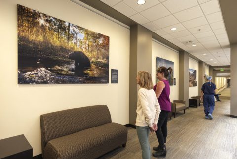 Photography of Todd Winslow Pierce at Vail Health