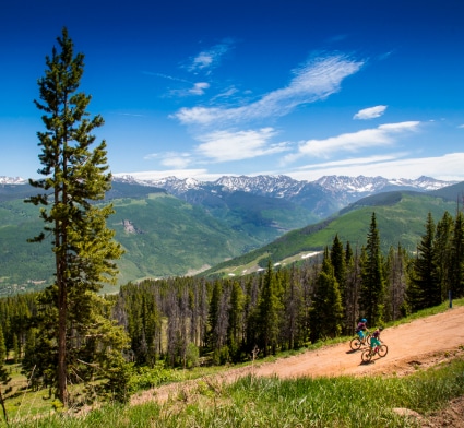 A pair of mountain bikers ride up a dirt path on a sunny summer day in Vail, Colorado.