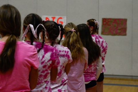 Dig Pink Fundraiser