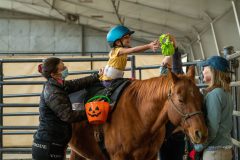 equine therapy for kids