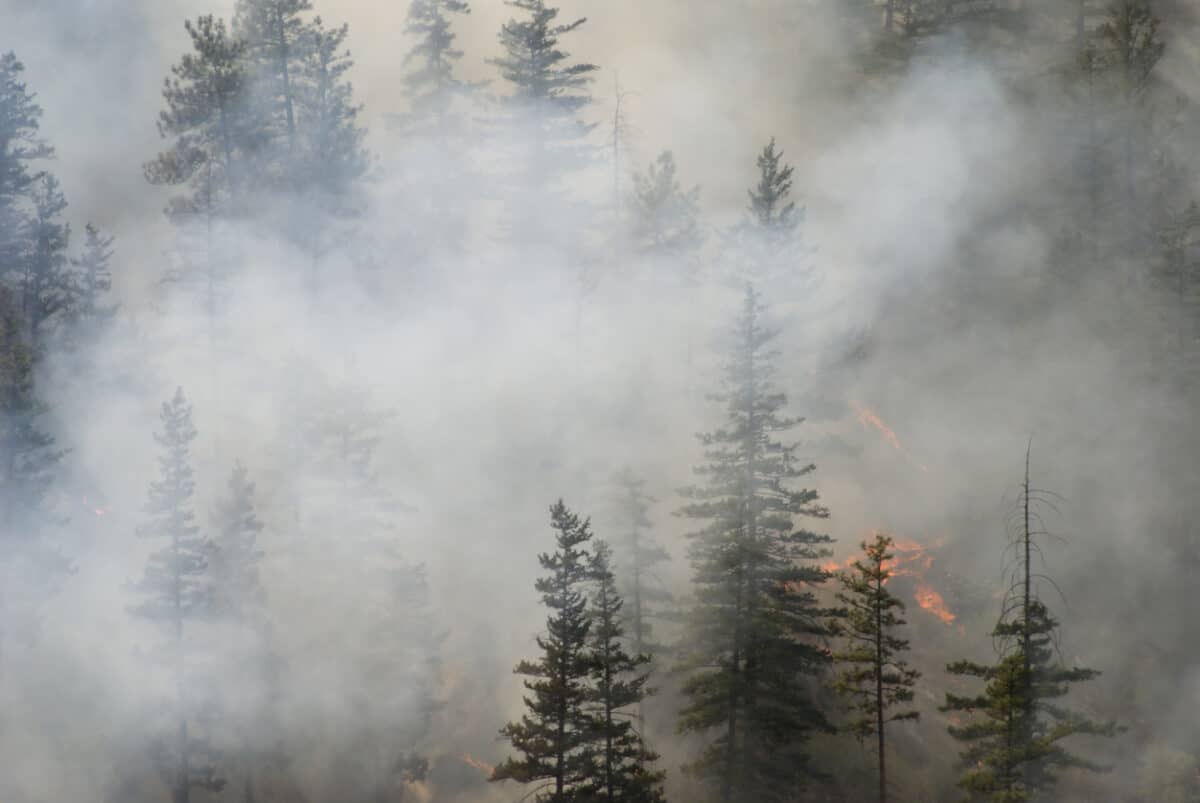How Wildfire Smoke Impacts Health - Vail Health Foundation